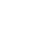 icon facebook
